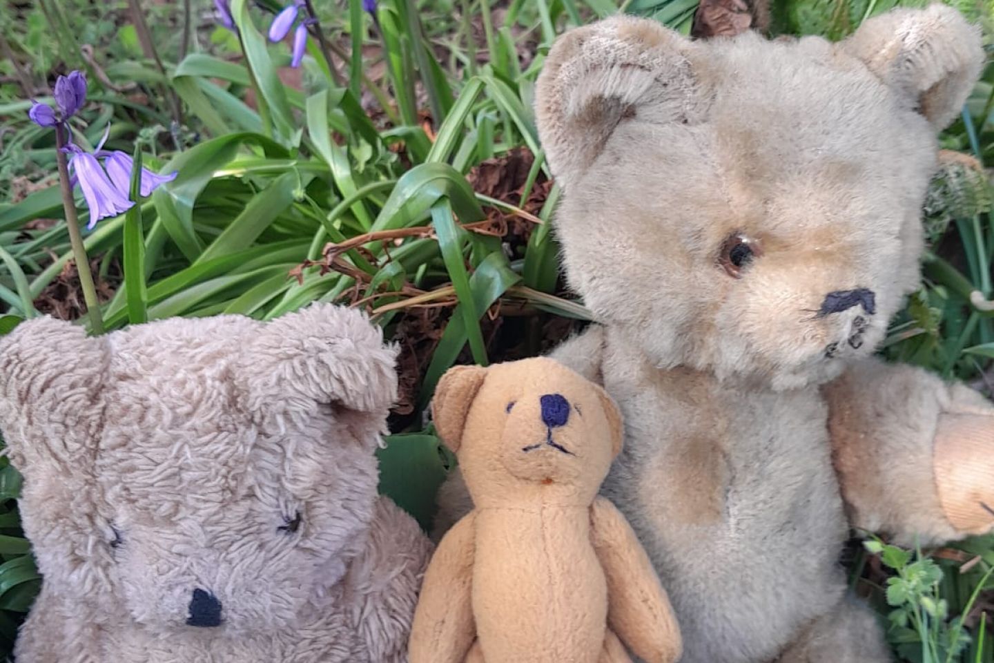Teddy Bears Picnic